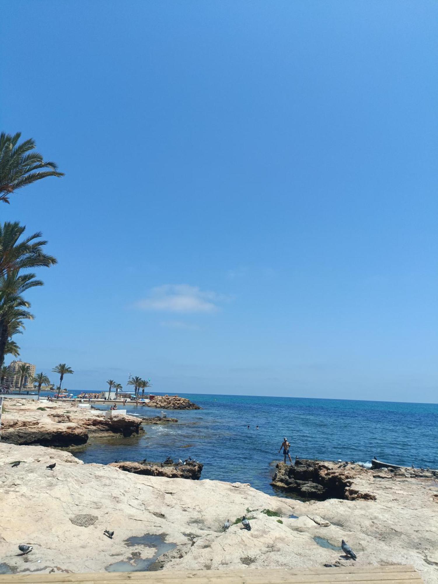 Студия Для Отдыха У Моря Torrevieja Dış mekan fotoğraf